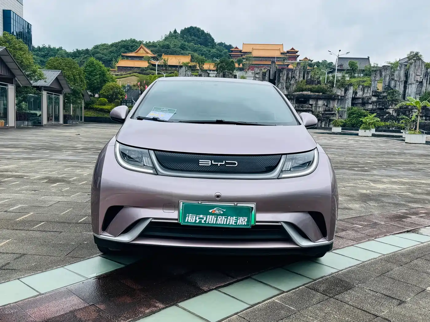 BYD Dolphin 2023 420km Freedom Edition фото 2