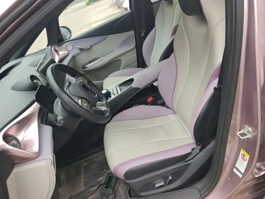 BYD Dolphin 2021 Model 405km Fashion Edition фото 15