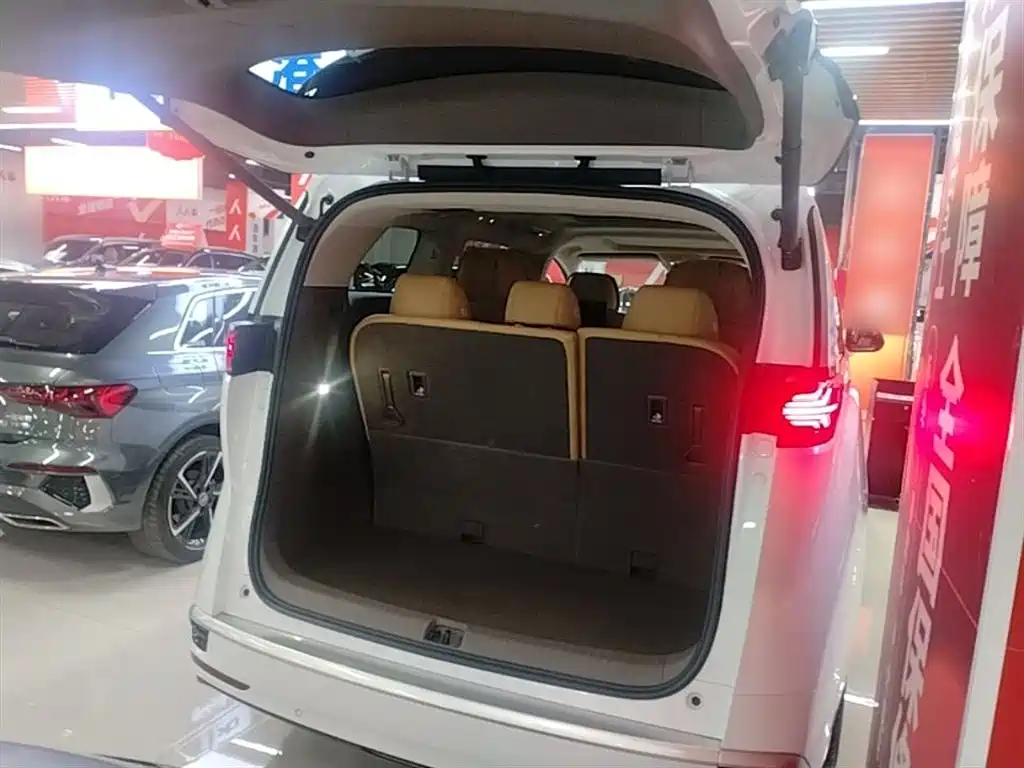 Denza D9 2022 DM-i 970 AWD Flagship фото 19