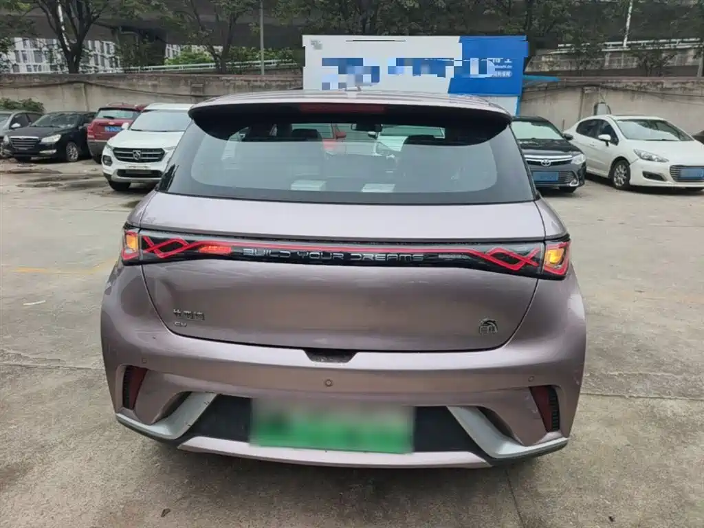 BYD Dolphin 2021 Model 405km Fashion Edition фото 6