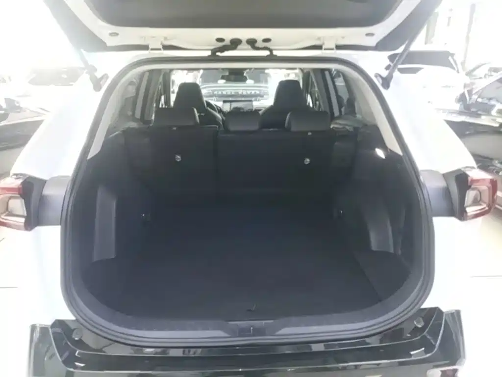 Toyota Wildlander 2024 2024 2.0L CVT 2WD Urban Edition