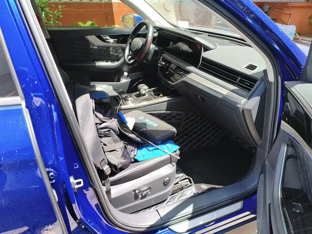 Hongqi HS5 2019 2.0T Smart Connect Enjoy 4WD Edition фото 22