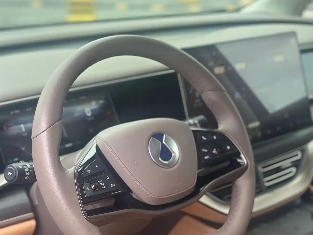 Denza D9 2022 DM-i 970 AWD Flagship фото 7
