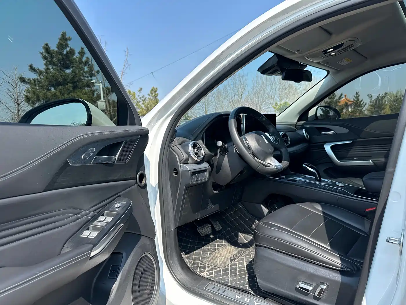 WEI PAI WEI BRAND VV5