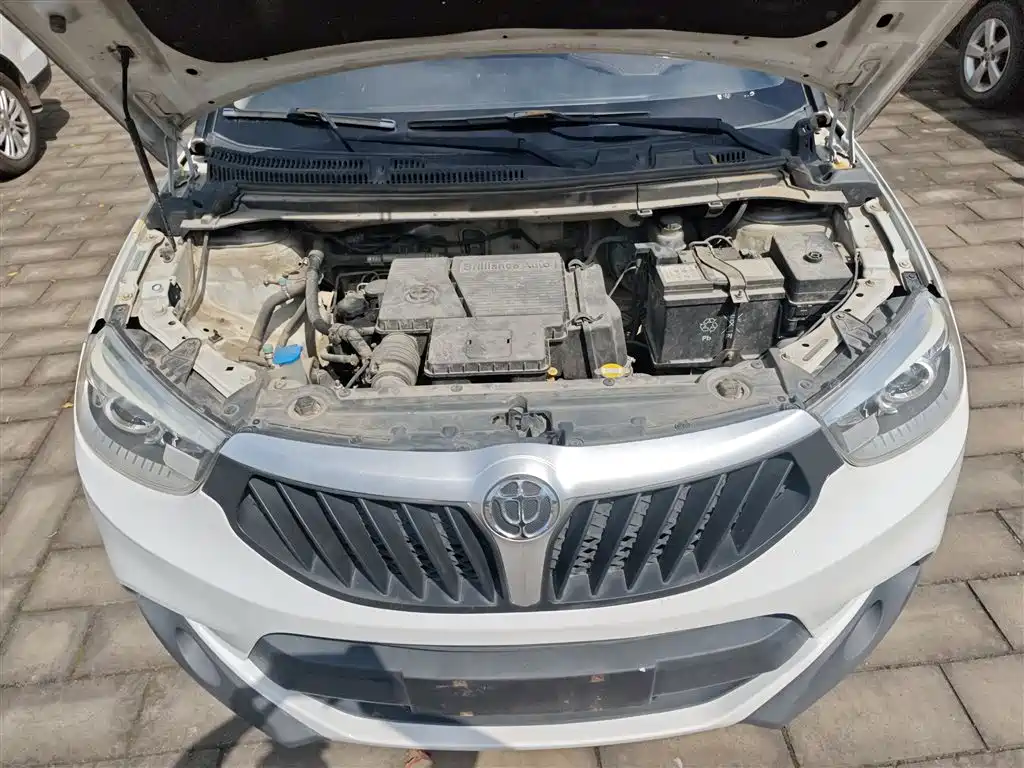 Фото 20 - Zhonghua V3