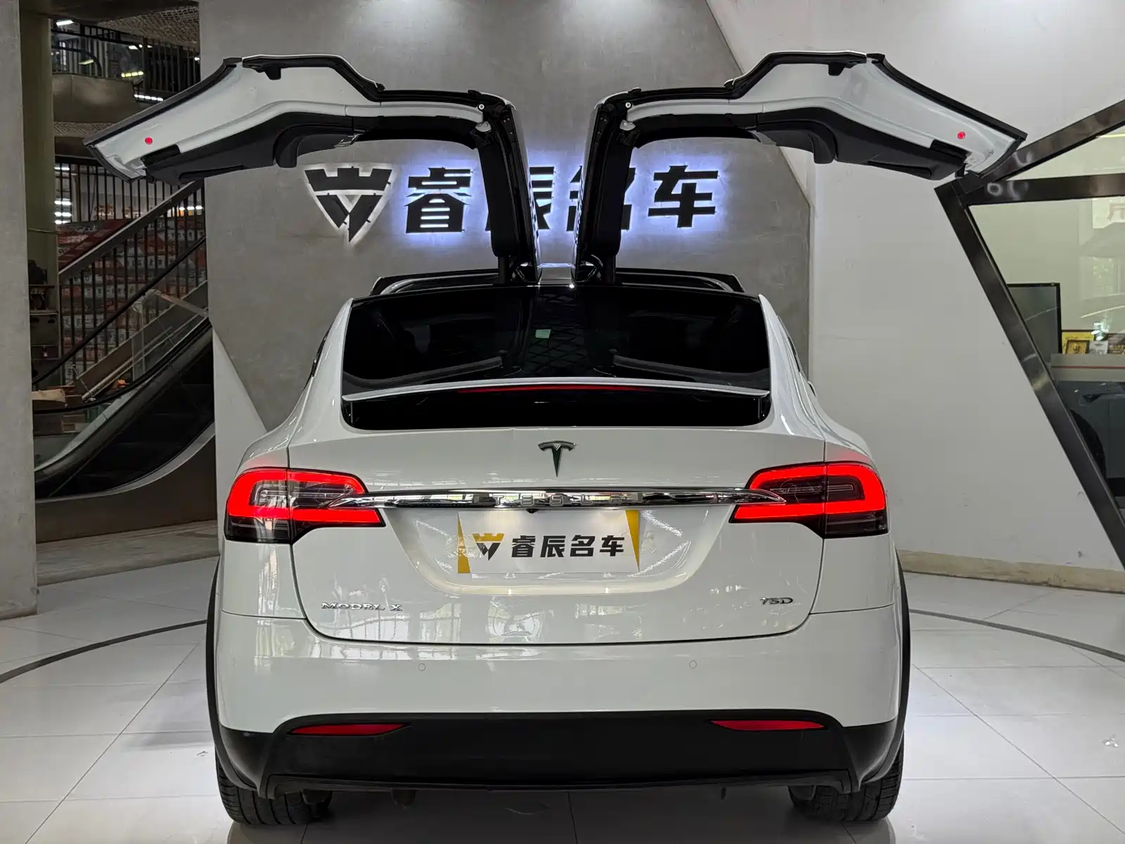 Фото 5 - Tesla Model X