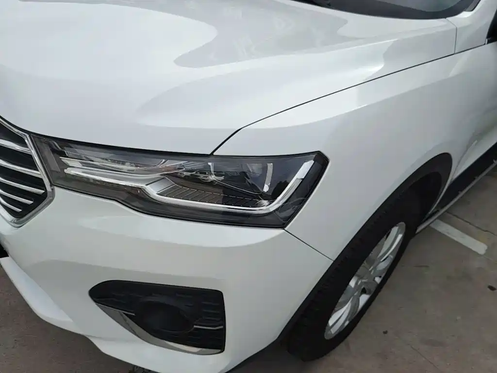 Haval H4 2019 2019 1.5GDIT DCT Luxury Smart Connection China VI