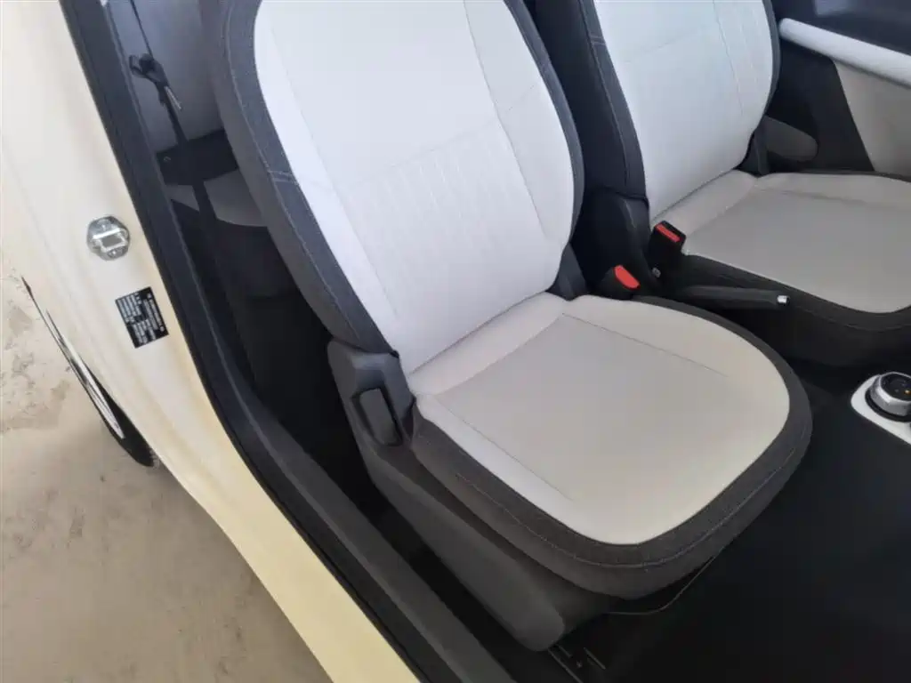 Geely Galaxy Panda 2025 Panda mini 210km Vitality Bear фото 25