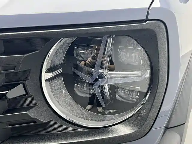 Haval Cool Dog 2022 2022 1.5T DCT 2WD Trend Edition