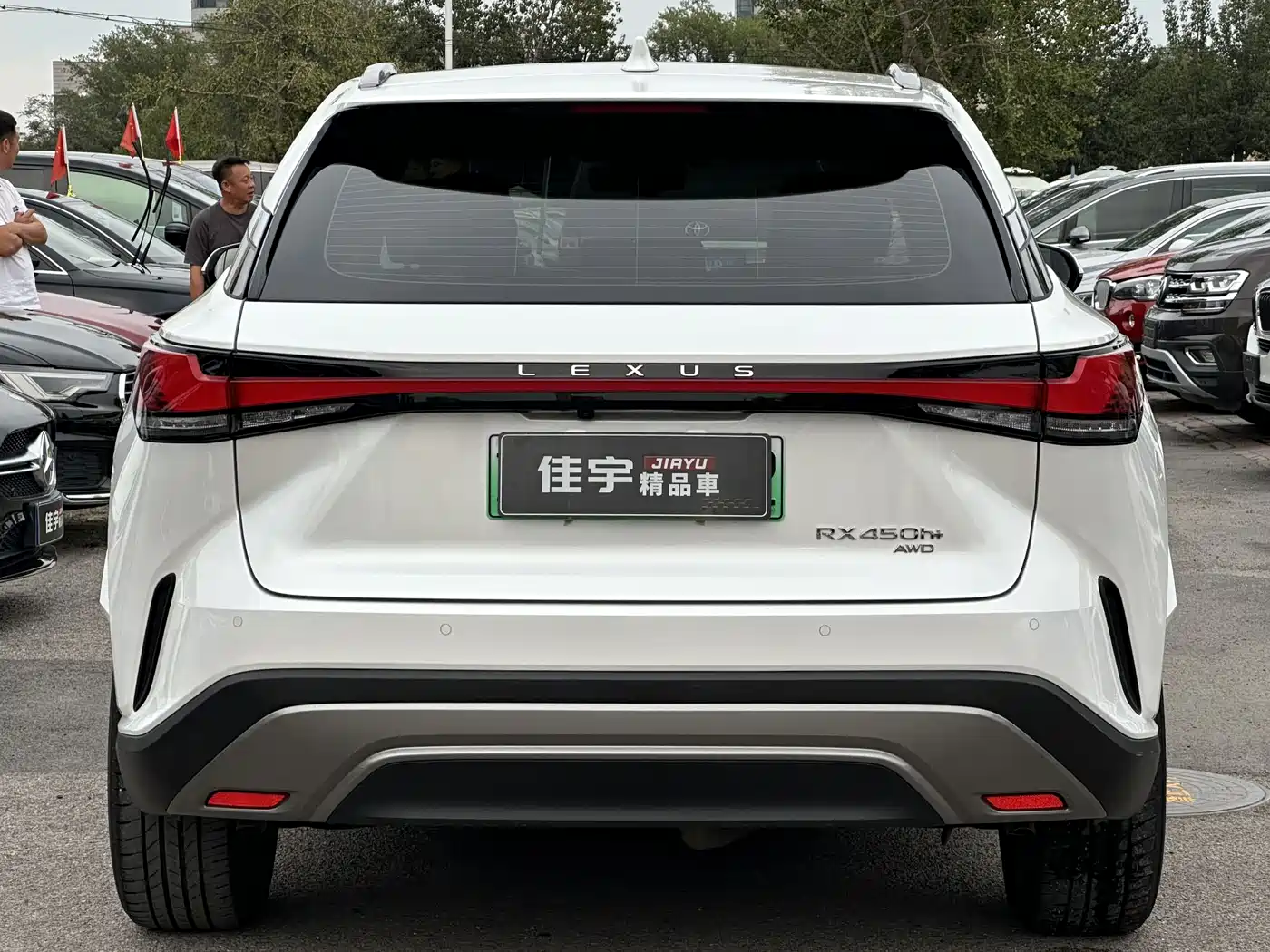 Lexus RX New Energy 2023 450h+ 4WD Enjoyment фото 5