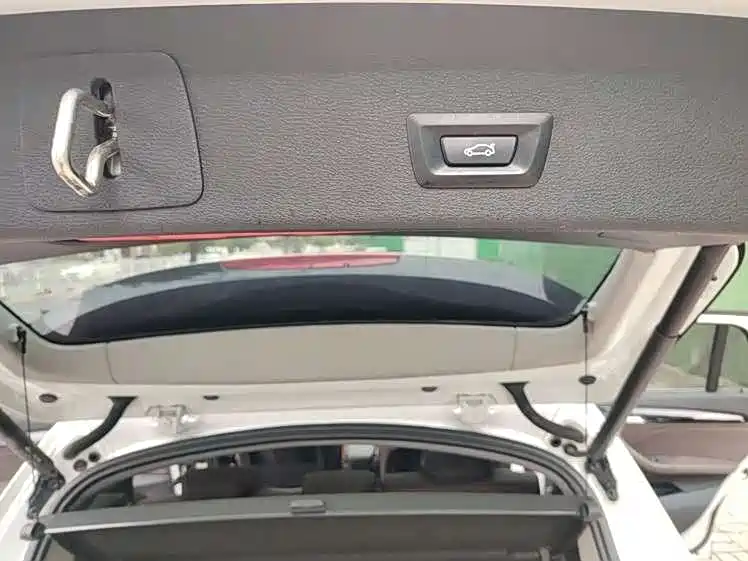 BMW X1 New Energy 2020 xDrive30Le Premium Edition фото 12