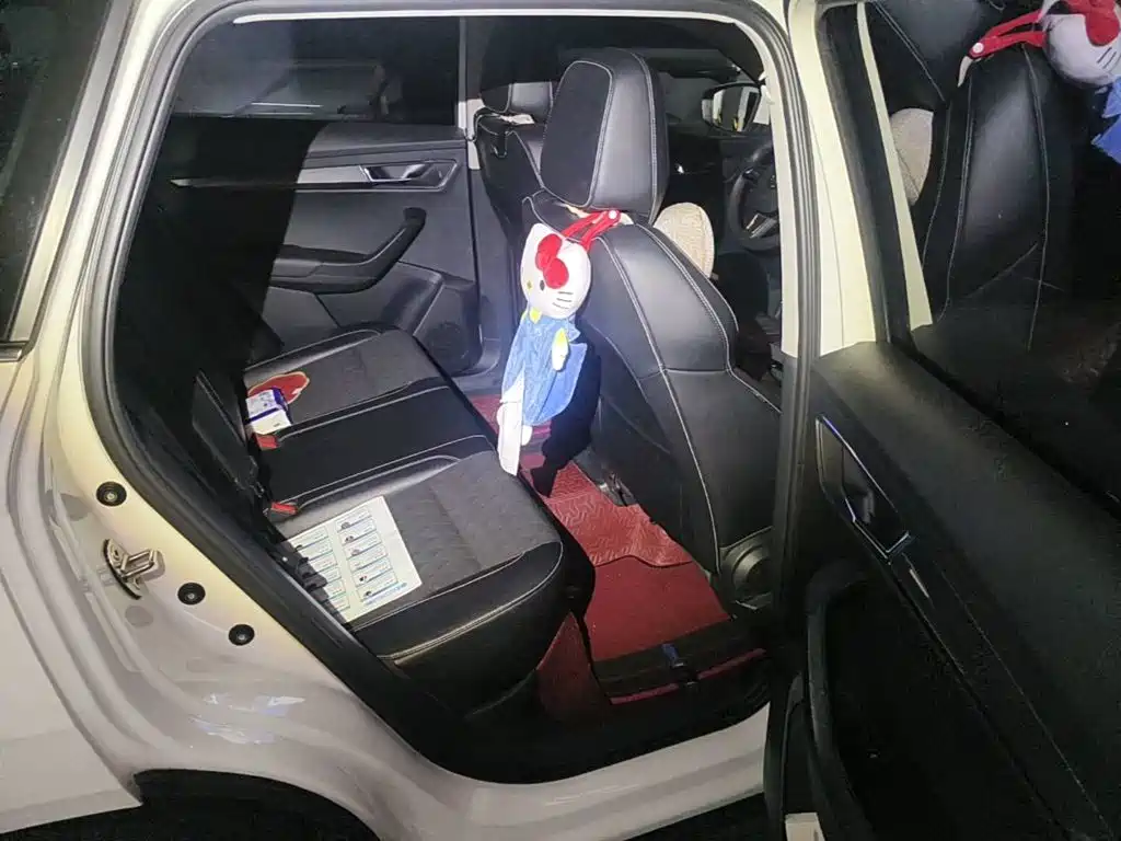 صورة 11 - Škoda Karoq