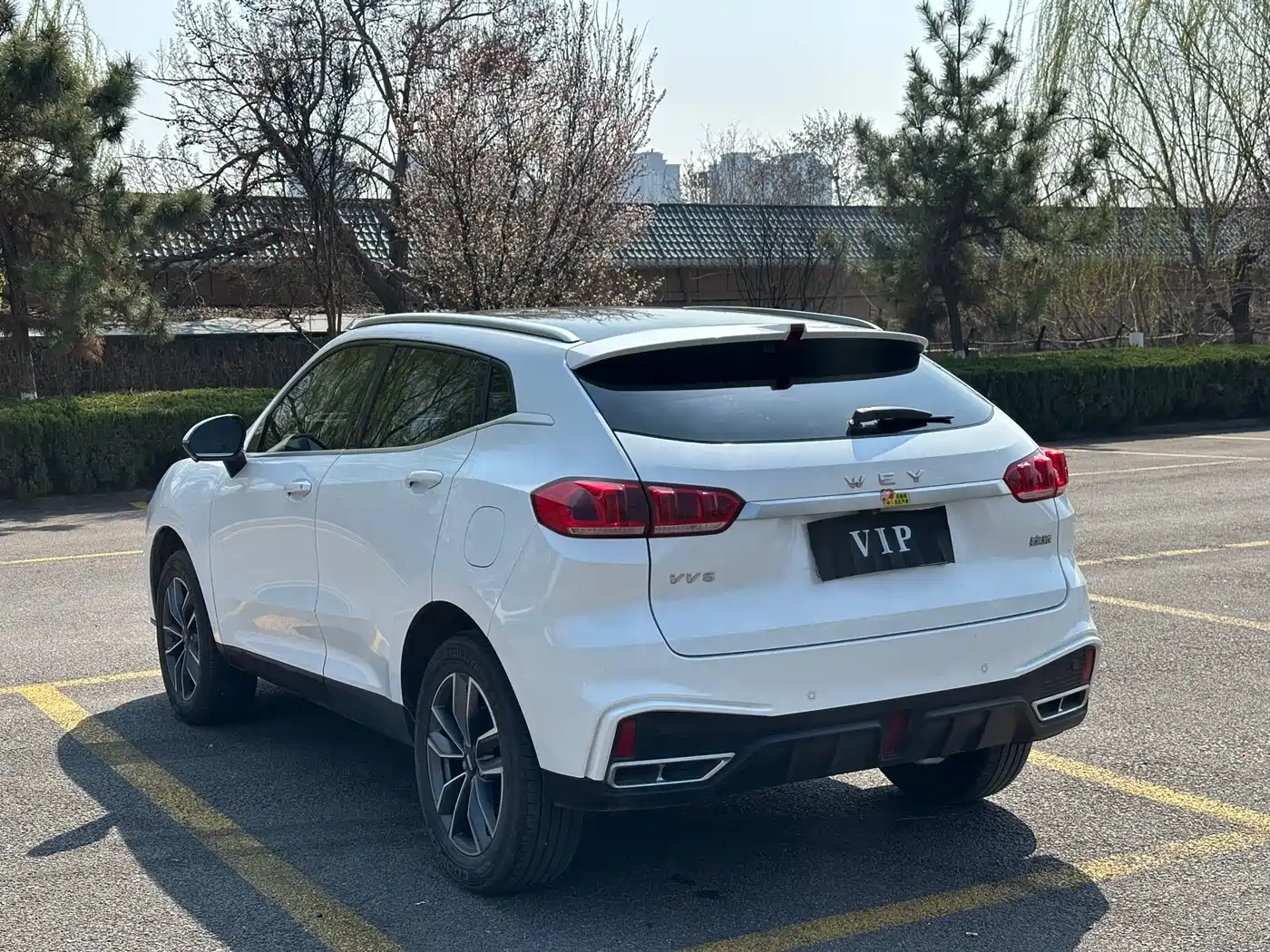 WEI PAI WEI BRAND VV5