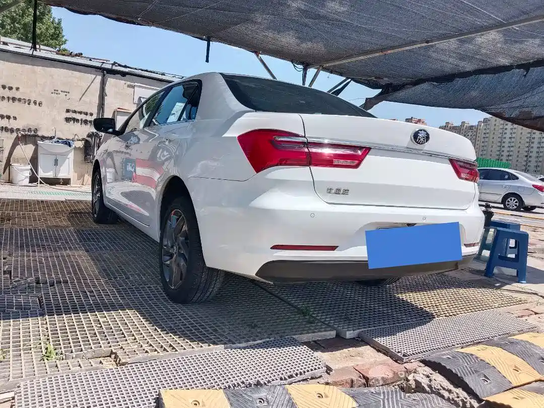 BYD Qin New Energy 2019 Long Range Edition Premium фото 6