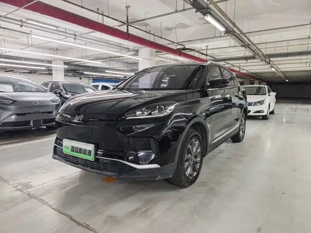 Weltmeister Weltmeister EX5 2019 EX5 Mate Power Alliance Edition 400