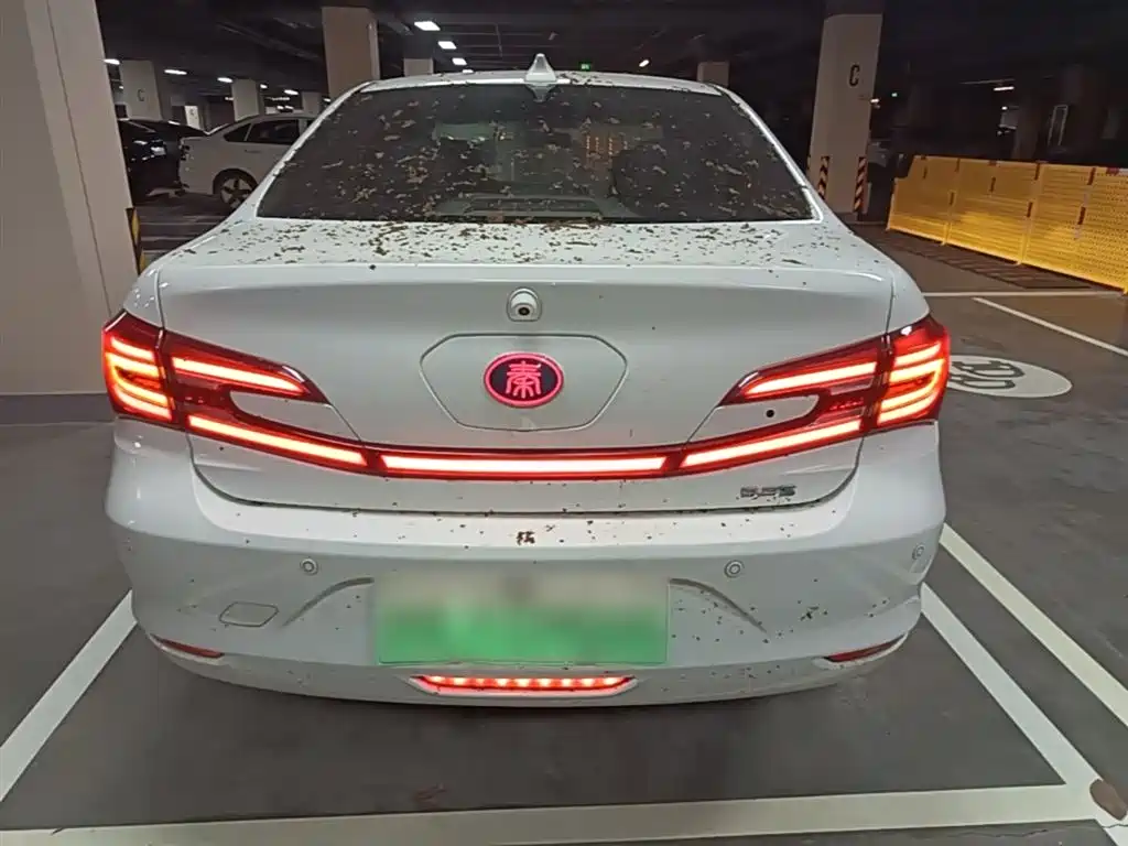 BYD Qin New Energy 2018 1.5T Smart Premium фото 6