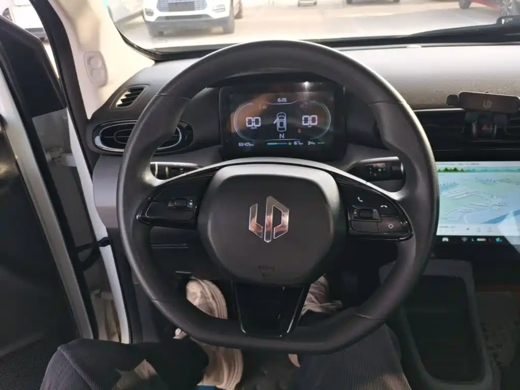 Leapmotor T03 2021 2021 400 Ride-hailing Edition