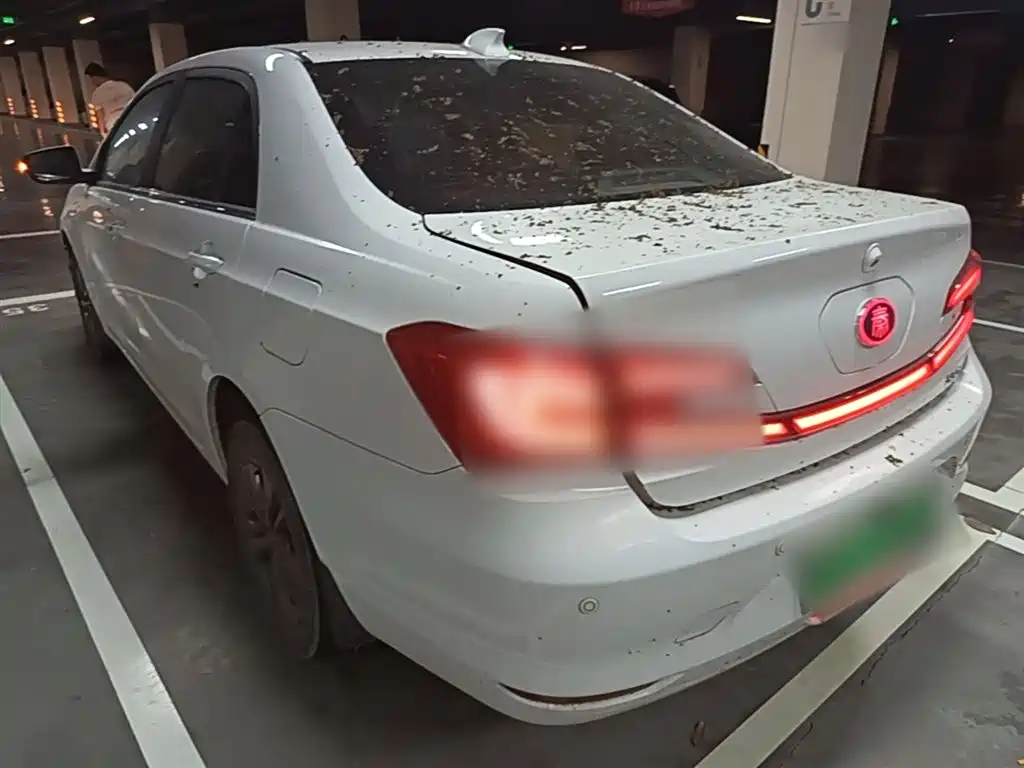 BYD Qin New Energy 2018 1.5T Smart Premium фото 5