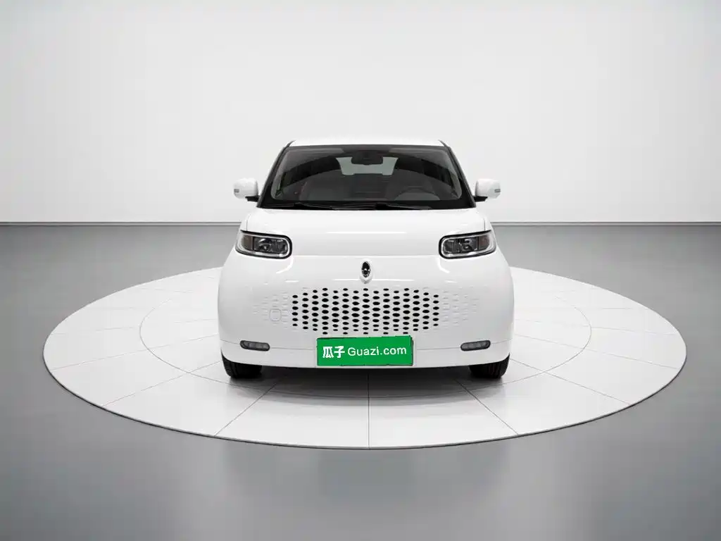 Ora White Cat 2020 2020 360km Luxury Model