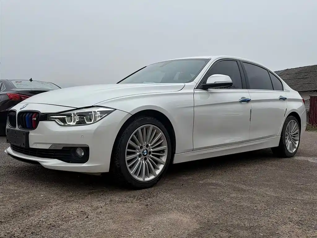 BMW 3 Series 2018 320Li Fashion Style фото 4