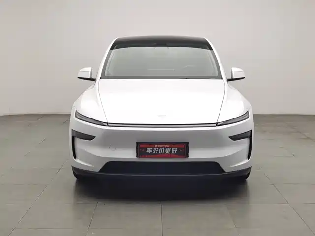 Tesla Model Y 2025 Rear-Wheel Drive — фото 3
