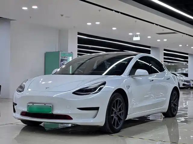 Tesla Model 3 2020 Standard Range Rear-Wheel Drive Upgrade