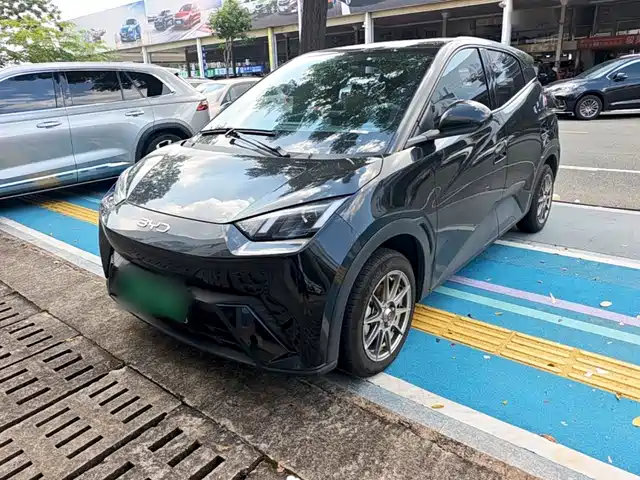  BYD Seagull 2024 Glory Edition 305km Vitality Edition