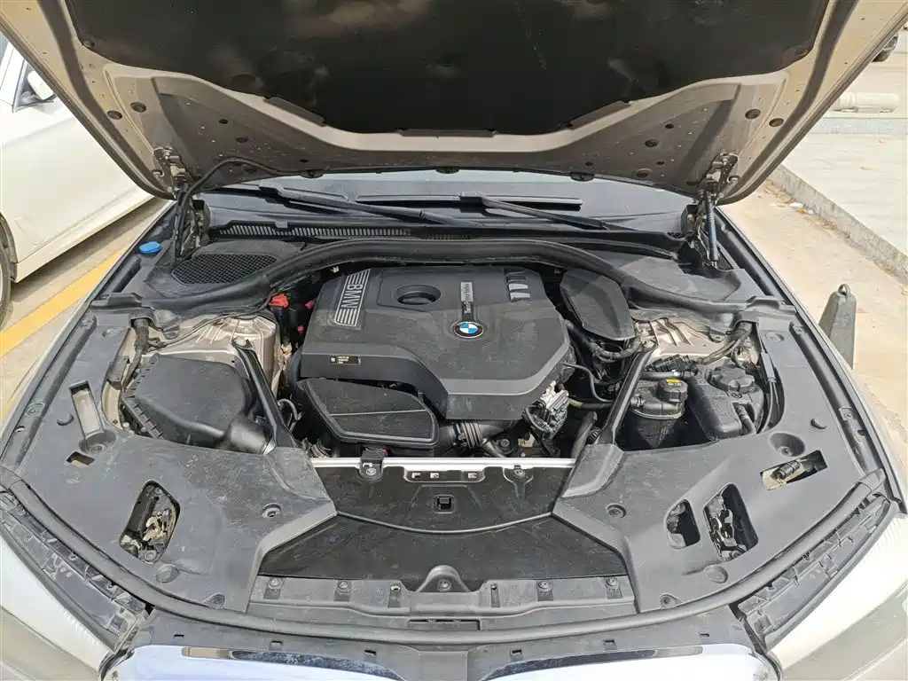 BMW 5 Series 2018 528Li Launch Special Edition фото 19