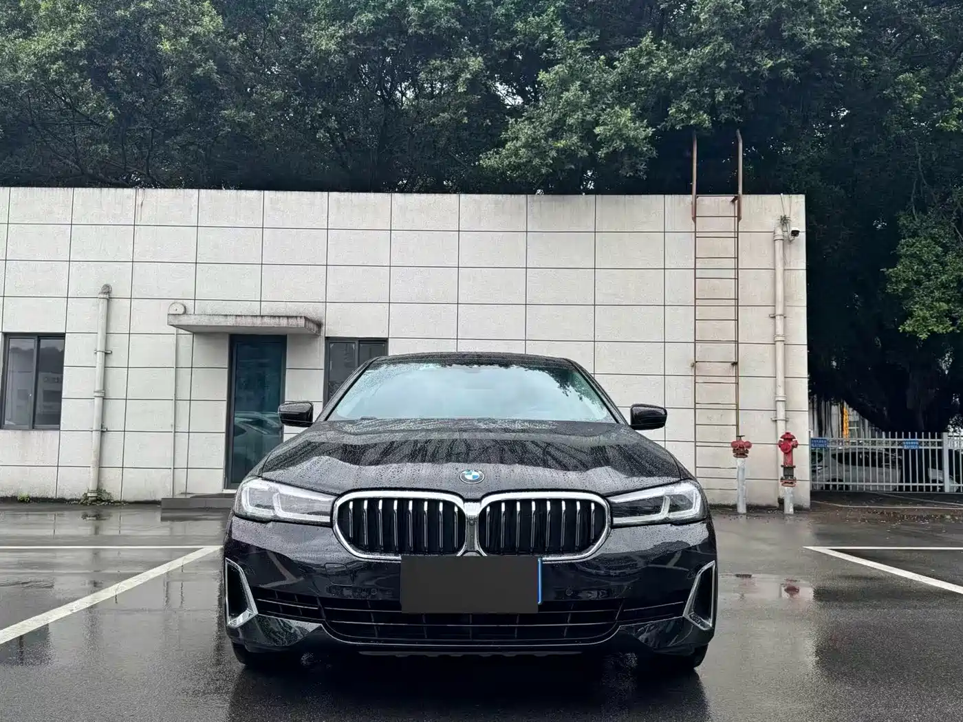BMW 5 Series 2021 530Li Premium Luxury Package фото 2