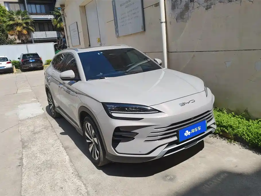 BYD SONGJIANG NEW ENERGY