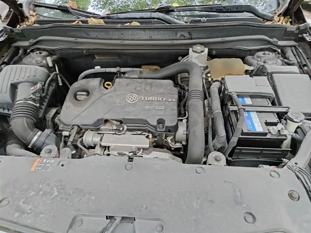 Buick Envision Plus 2018 20T 2WD Elite фото 20