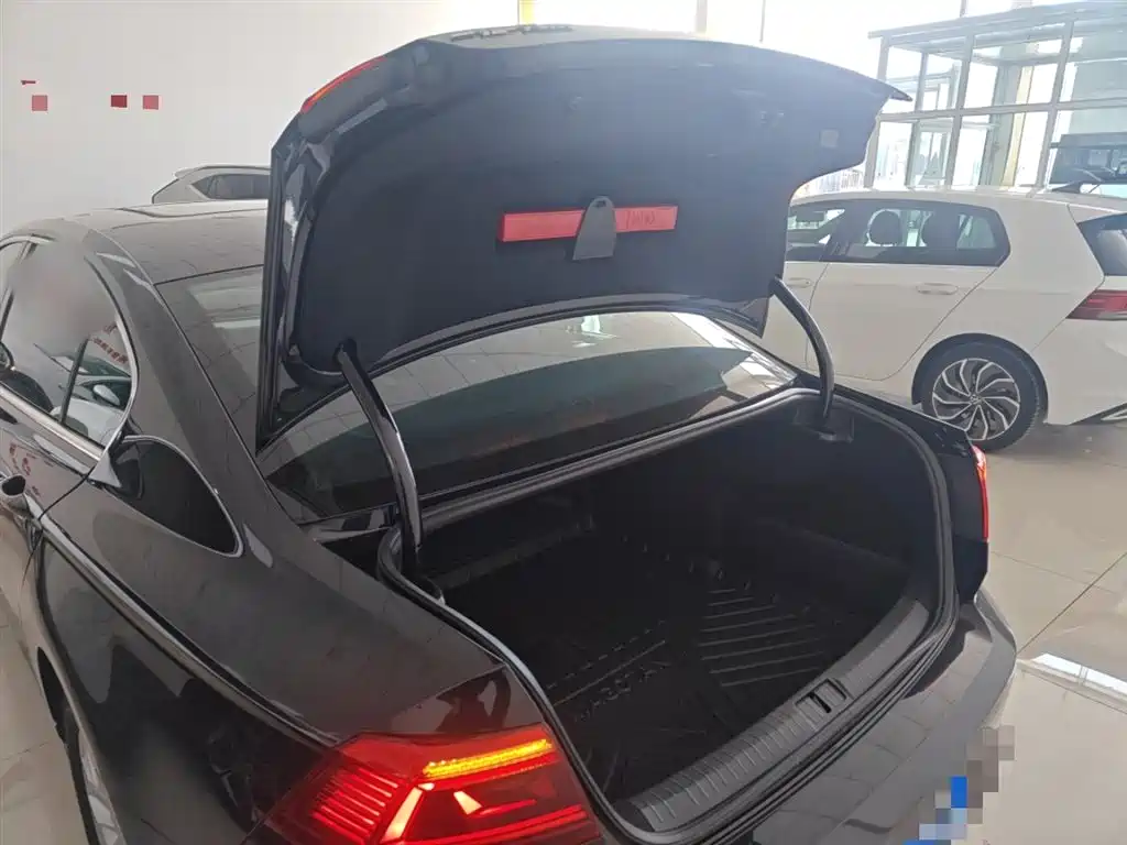 Volkswagen Magotan 2020 280TSI DSG Comfort фото 19
