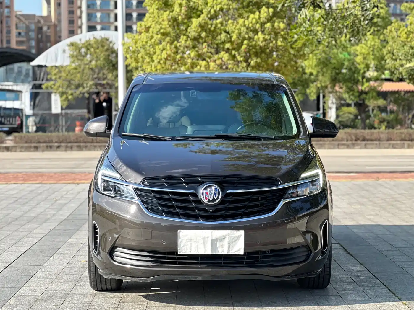 Buick GL8 2020 Land Business Class 652T Premium фото 3