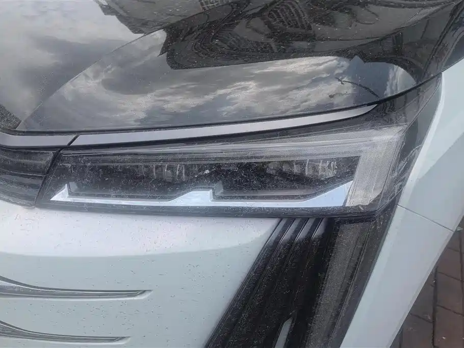 GAC Trumpchi Trumpchi E9 2023 E9 MAX фото 5