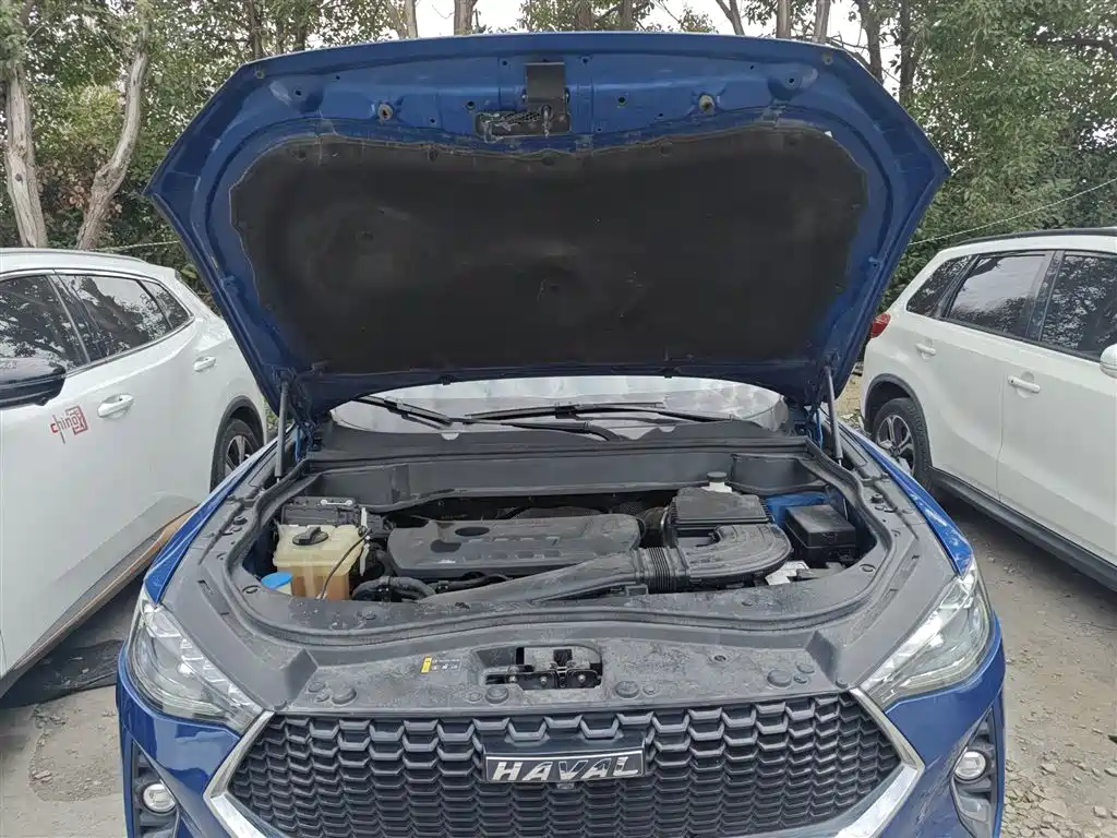 Haval F7 2019 2.0T 2WD i-Fashion China VI фото 16