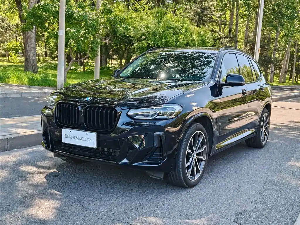BMW X3 2023 xDrive30i Leading M Night Package