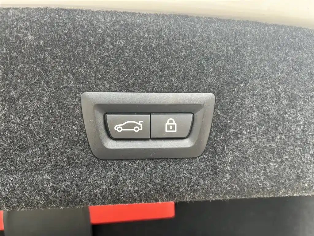 BMW 3 Series 2022 Facelift 325Li M Sport Package фото 30