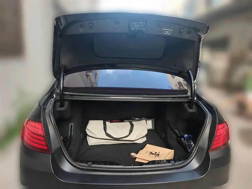 BMW 5 Series 2017 525Li Luxury Design Package фото 15