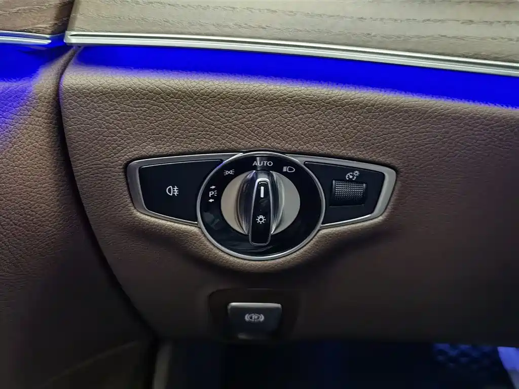 Mercedes-Benz E-Class 2023 Facelift E 300 L Luxury фото 21