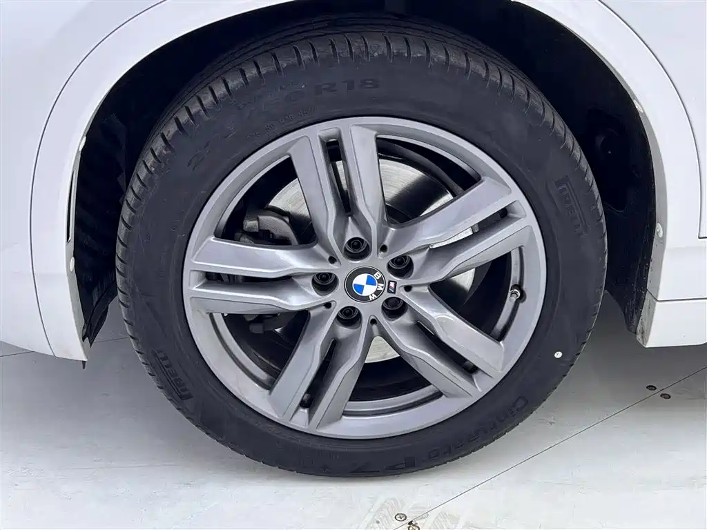 BMW X2 2020 sDrive25i Leading M Sport Package фото 10