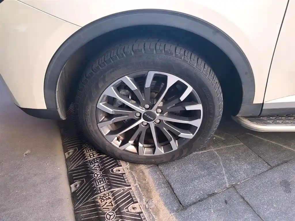 Haval H6 2020 1.5GDIT Automatic Platinum Champion Edition фото 23