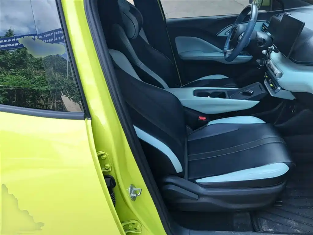 BYD Seagull 2023 Vitality Edition фото 25