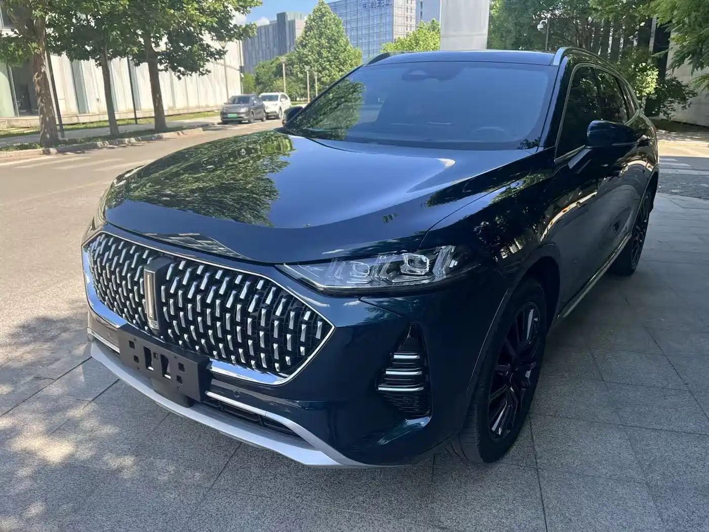 Wey Mocha New Energy 2022 1.5T Zero-Anxiety Performance Edition