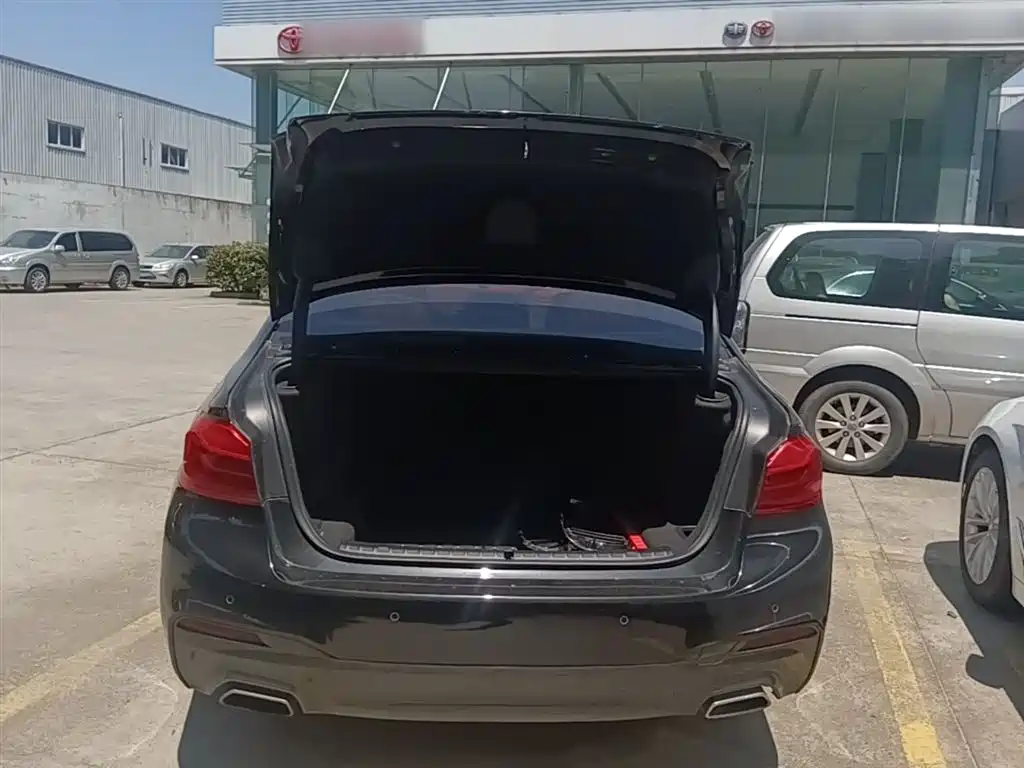 BMW 5 Series 2019 530Li Leading M Sport Package фото 19