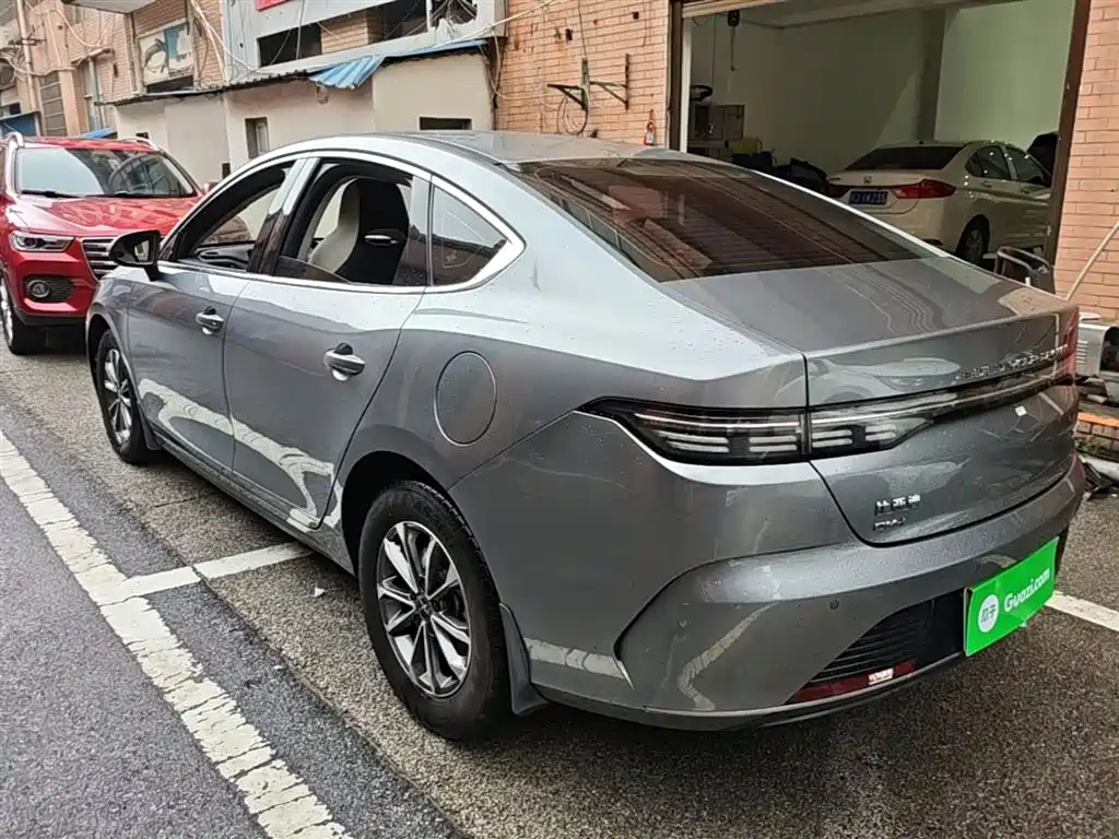 BYD Destroyer 05 2024 Glory Edition DM-i 55KM Luxury фото 5