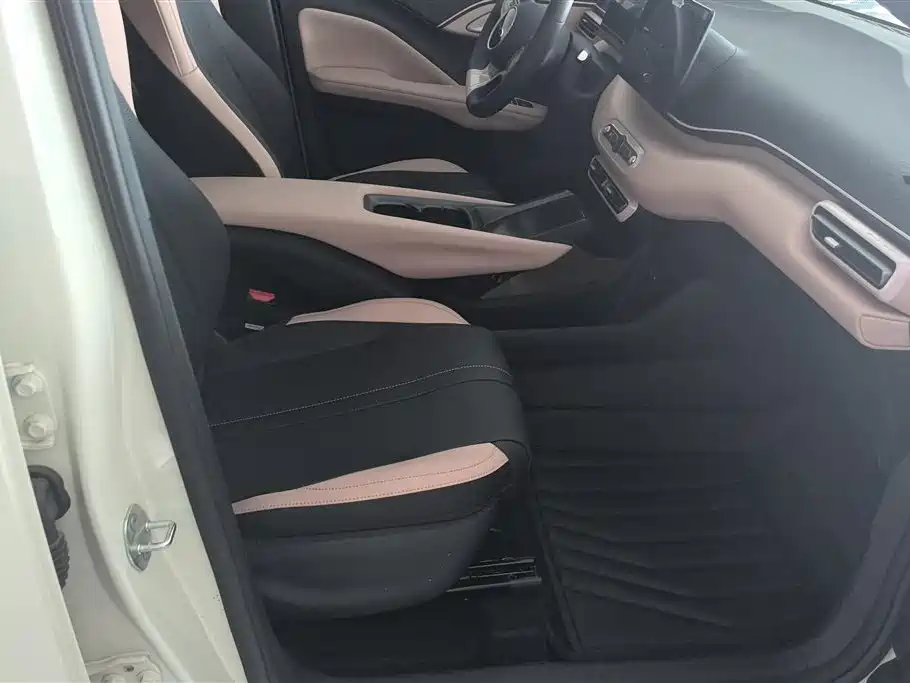 BYD Seagull 2025 Smart Drive Edition 305km Vitality Version фото 8