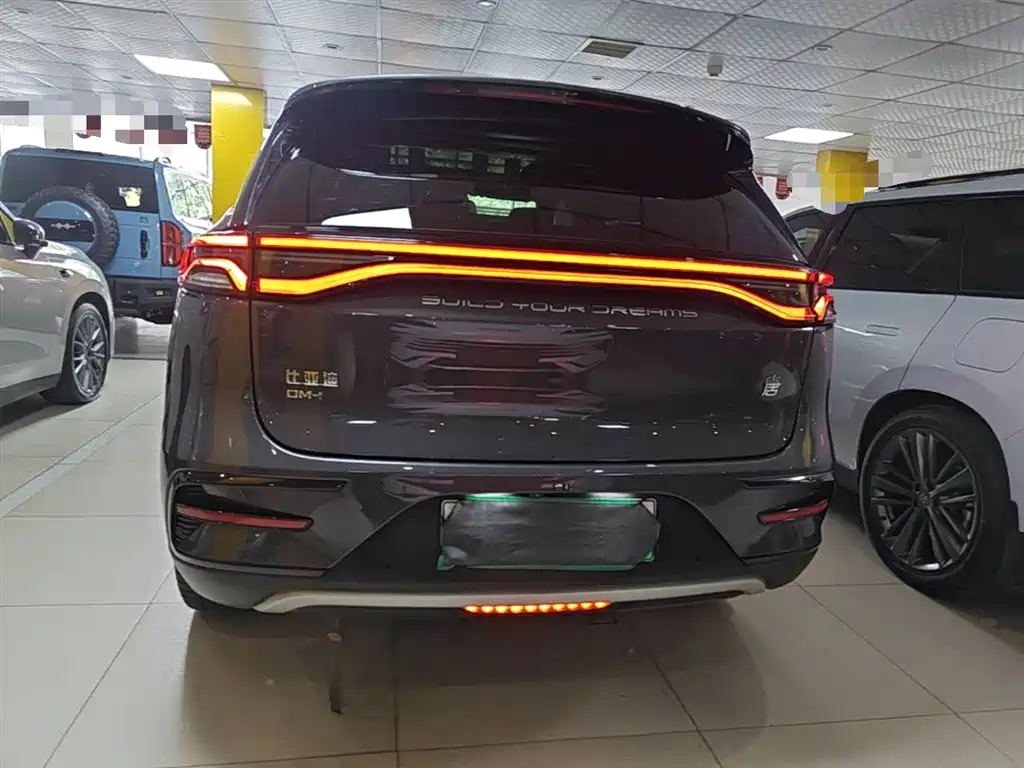 BYD Tang New Energy 2024 DM-i Champion Edition 200KM Premium фото 6