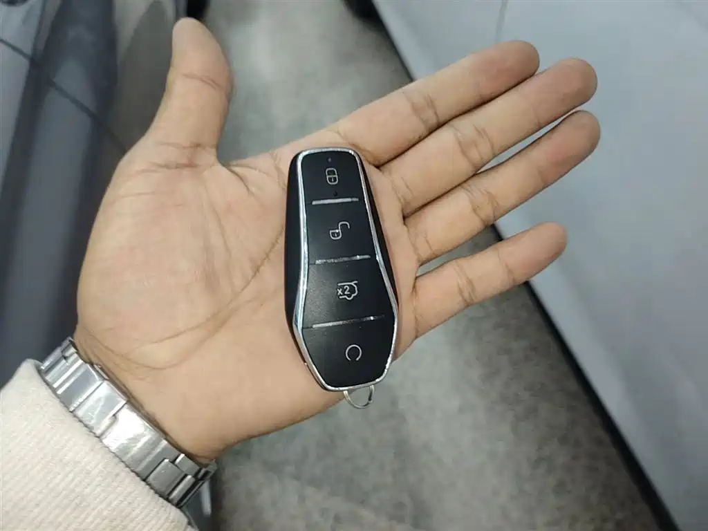 BYD Qin PLUS 2025 DM-i Smart Drive Edition 120KM Surpassing Type фото 9