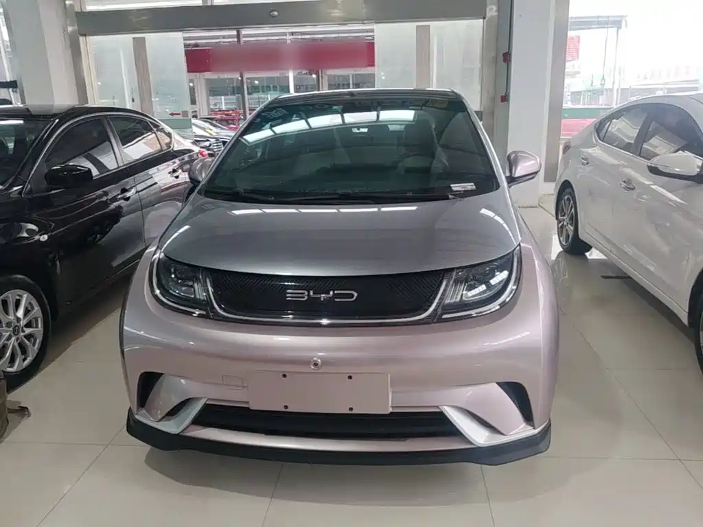 BYD Dolphin 2022 2021 401km Knight Edition