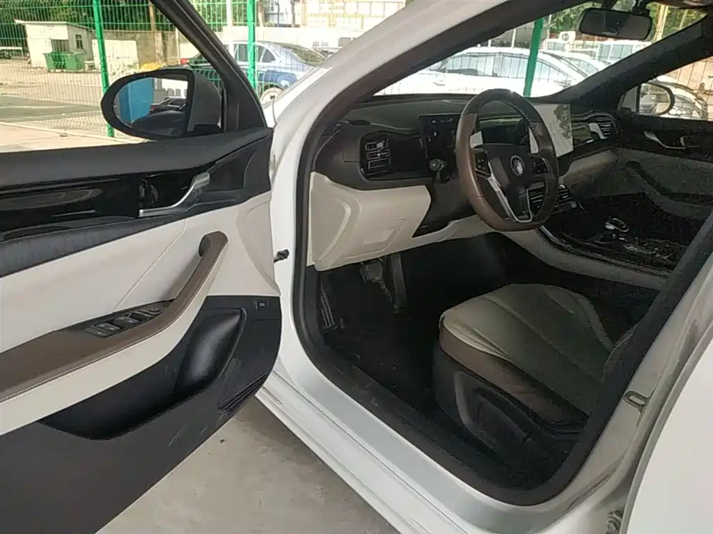 BYD Qin PLUS 2023 Champion Edition DM-i 55KM Leading фото 16